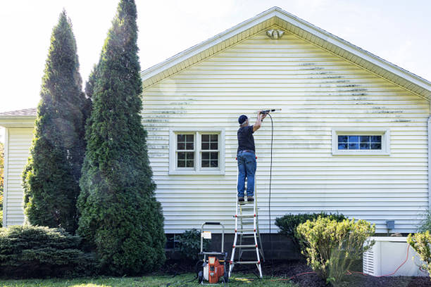 Best Rust Removal  in Covington, WA